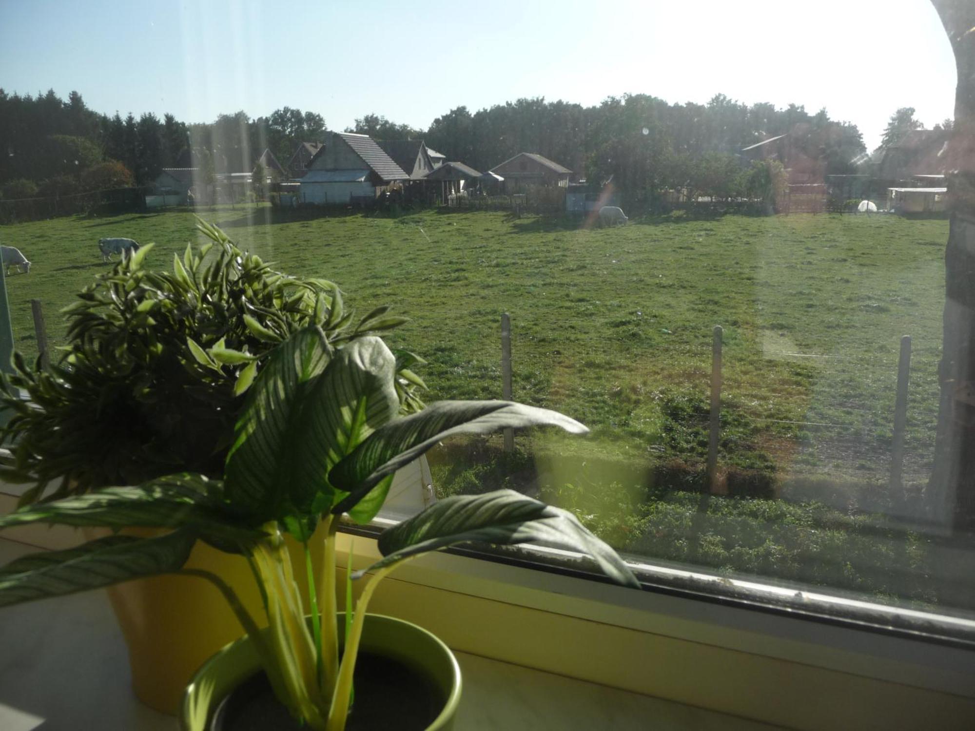 De Alpacaboerderij Apartment Bocholt Bilik gambar