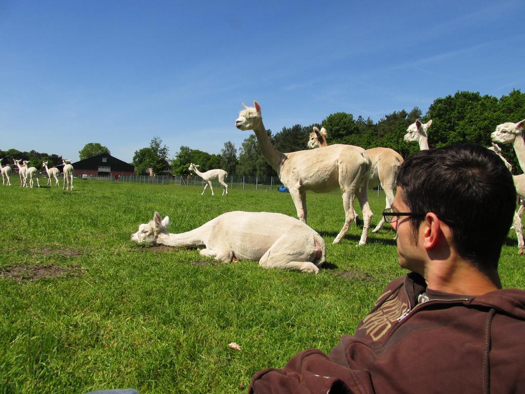 De Alpacaboerderij Apartment Bocholt Luaran gambar