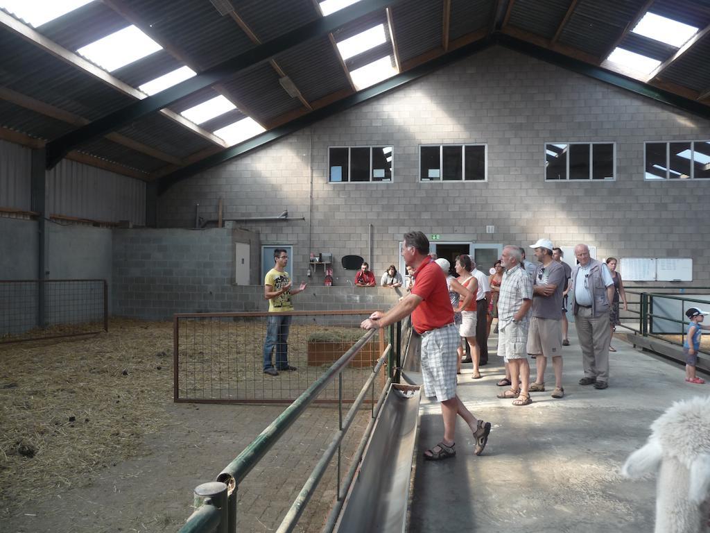 De Alpacaboerderij Apartment Bocholt Luaran gambar